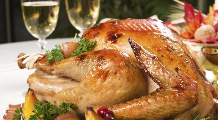 Unique Elephant Experience in Botswana