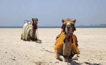 Cheapest Luxury Hotels in the World