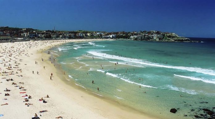 How to Travel in the Desert