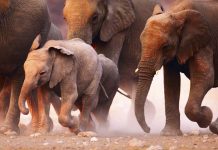 Dishes We’d Travel Back in Time to Eat Again