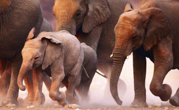 Top 10 Family Resorts Worldwide